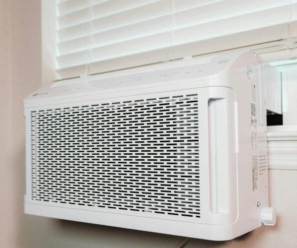 pexels-airamdphoto-16592625